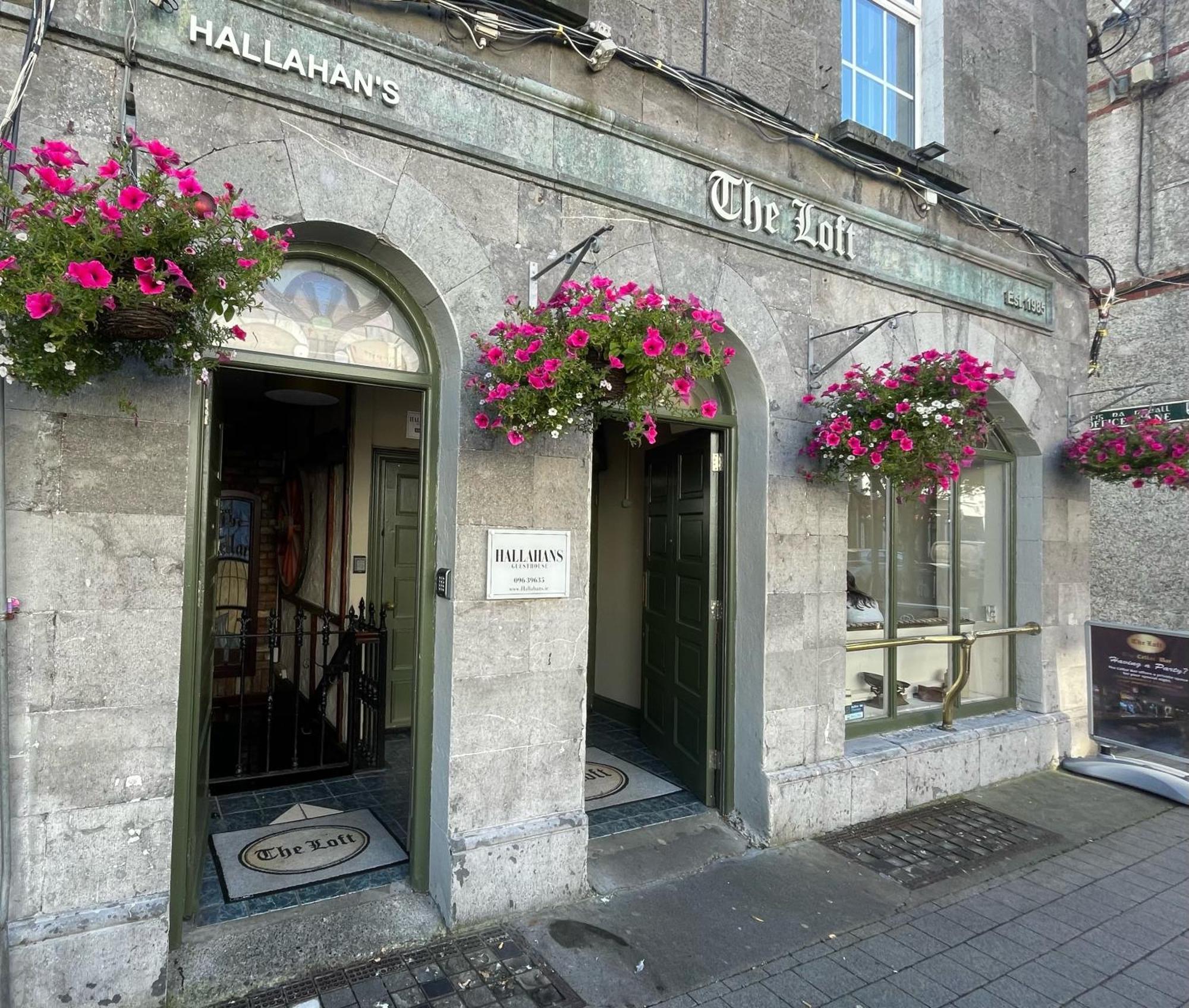 Hallahan'S Ballina  Buitenkant foto